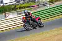 Vintage-motorcycle-club;eventdigitalimages;mallory-park;mallory-park-trackday-photographs;no-limits-trackdays;peter-wileman-photography;trackday-digital-images;trackday-photos;vmcc-festival-1000-bikes-photographs